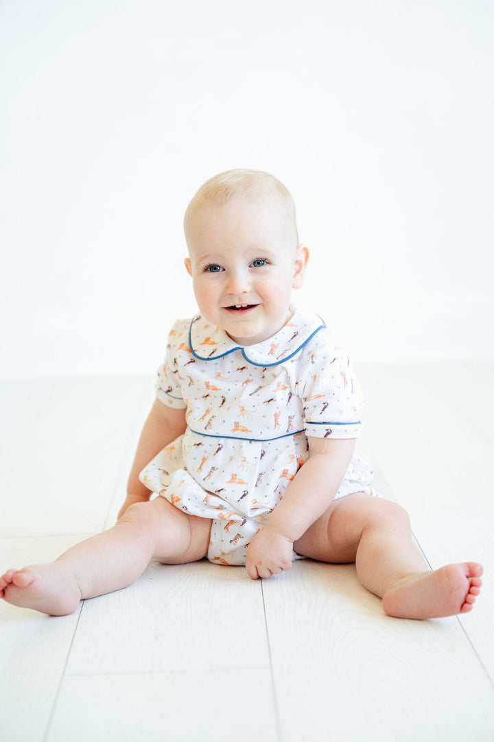 Puppies Pima Alexander Bubble