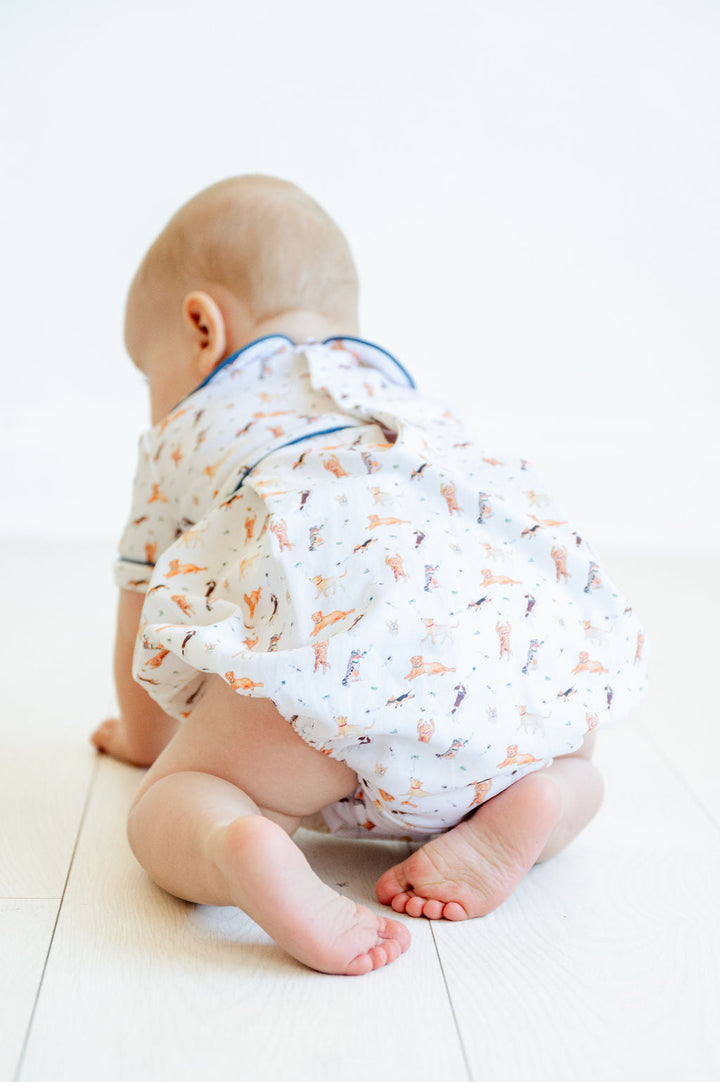 Puppies Pima Alexander Bubble