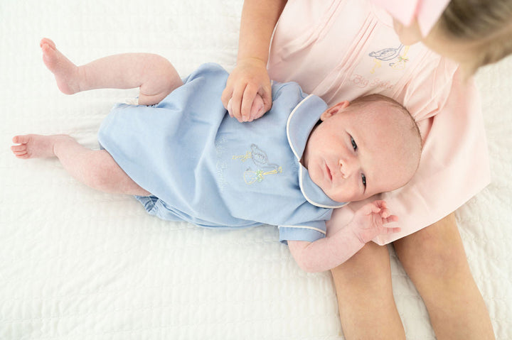 Little Baby Brother Embroidered Stork Bubble