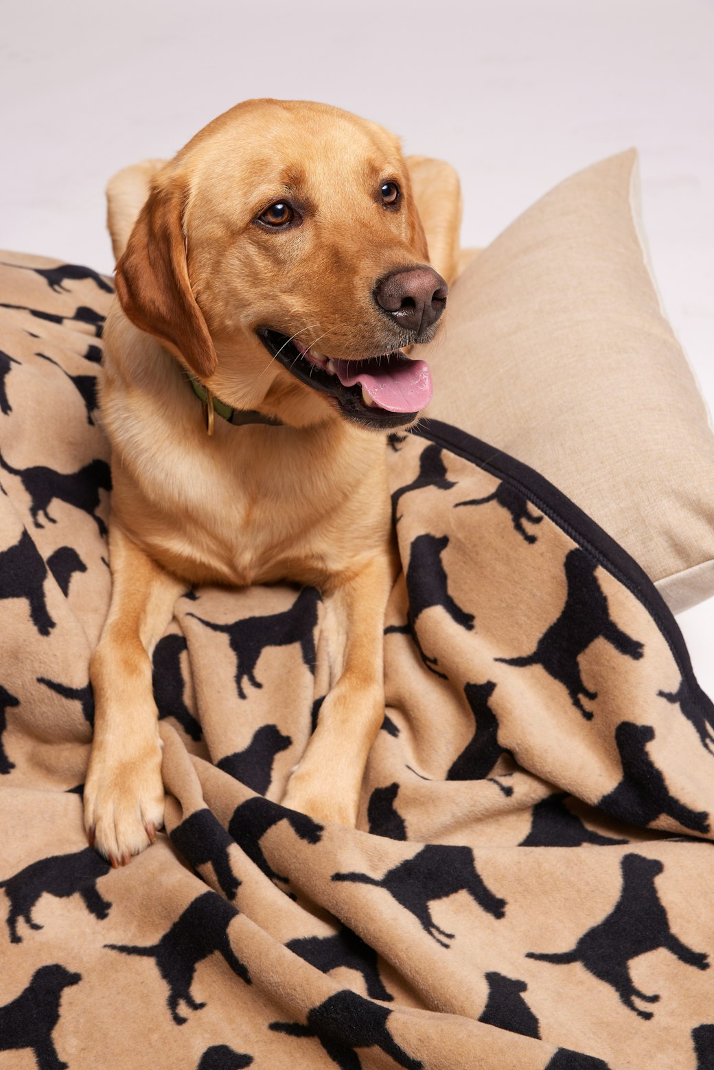 Labrador Midi Blanket