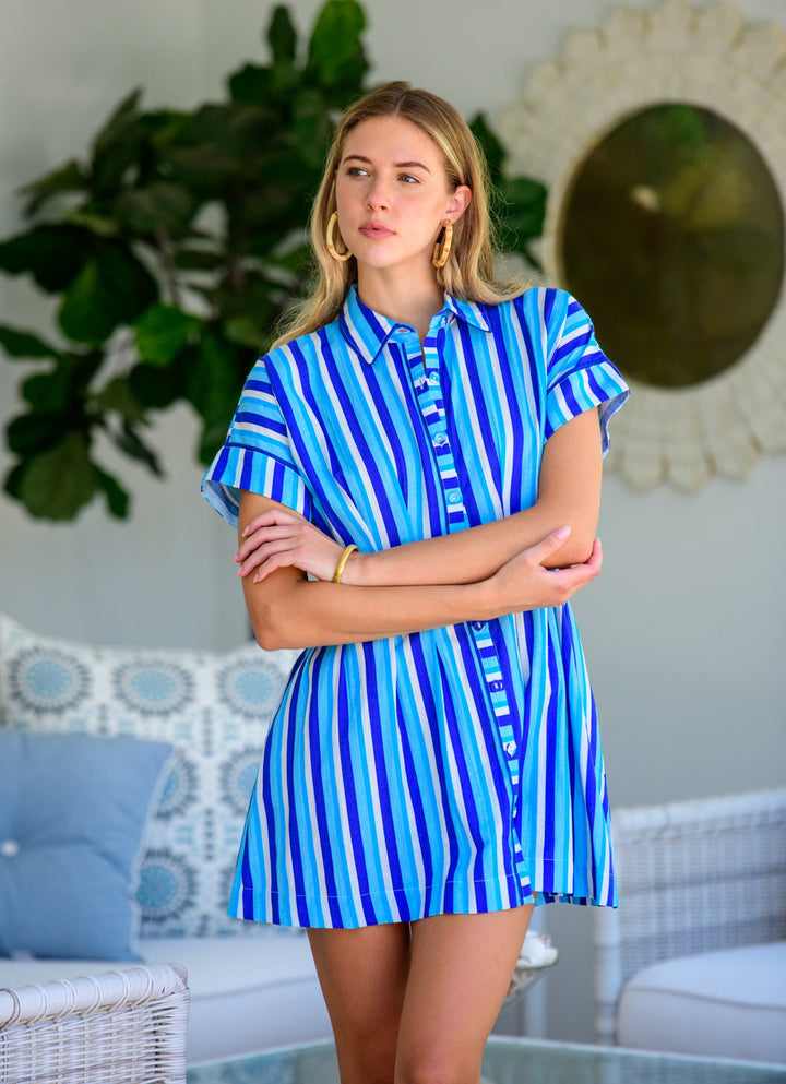 Haynes Dress in French Blue Stripe