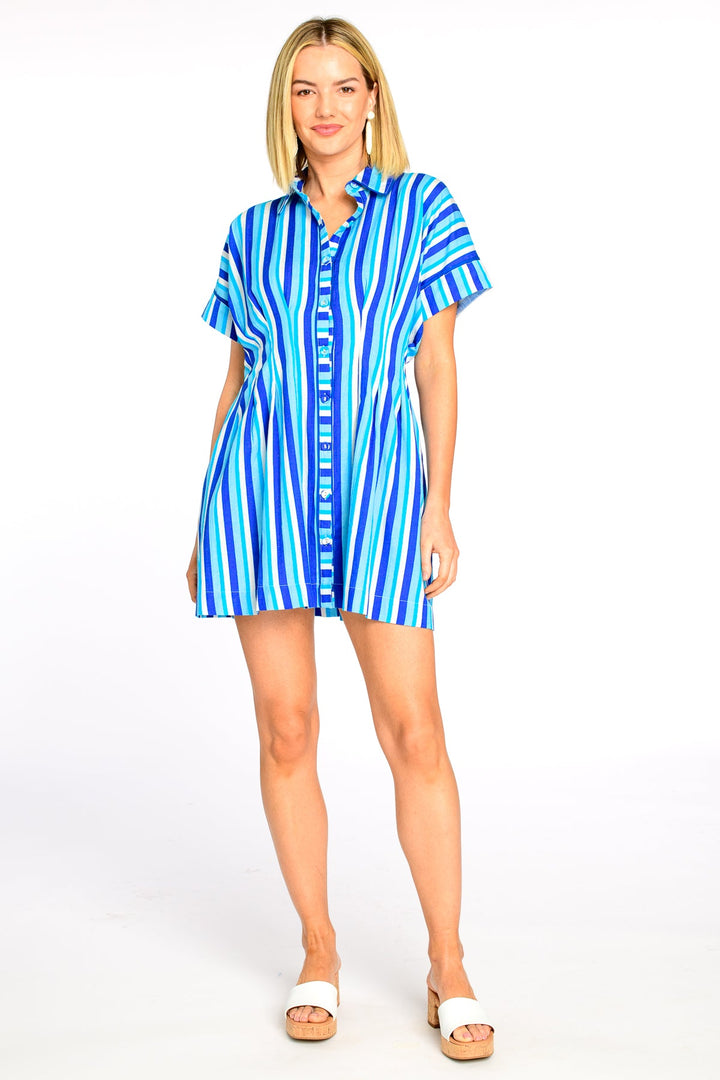 Haynes Dress in French Blue Stripe