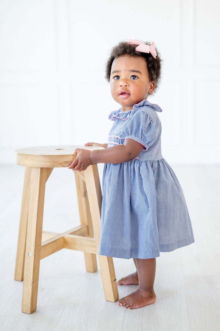 Navy and Pink Smocked Charlotte Bloomer Set