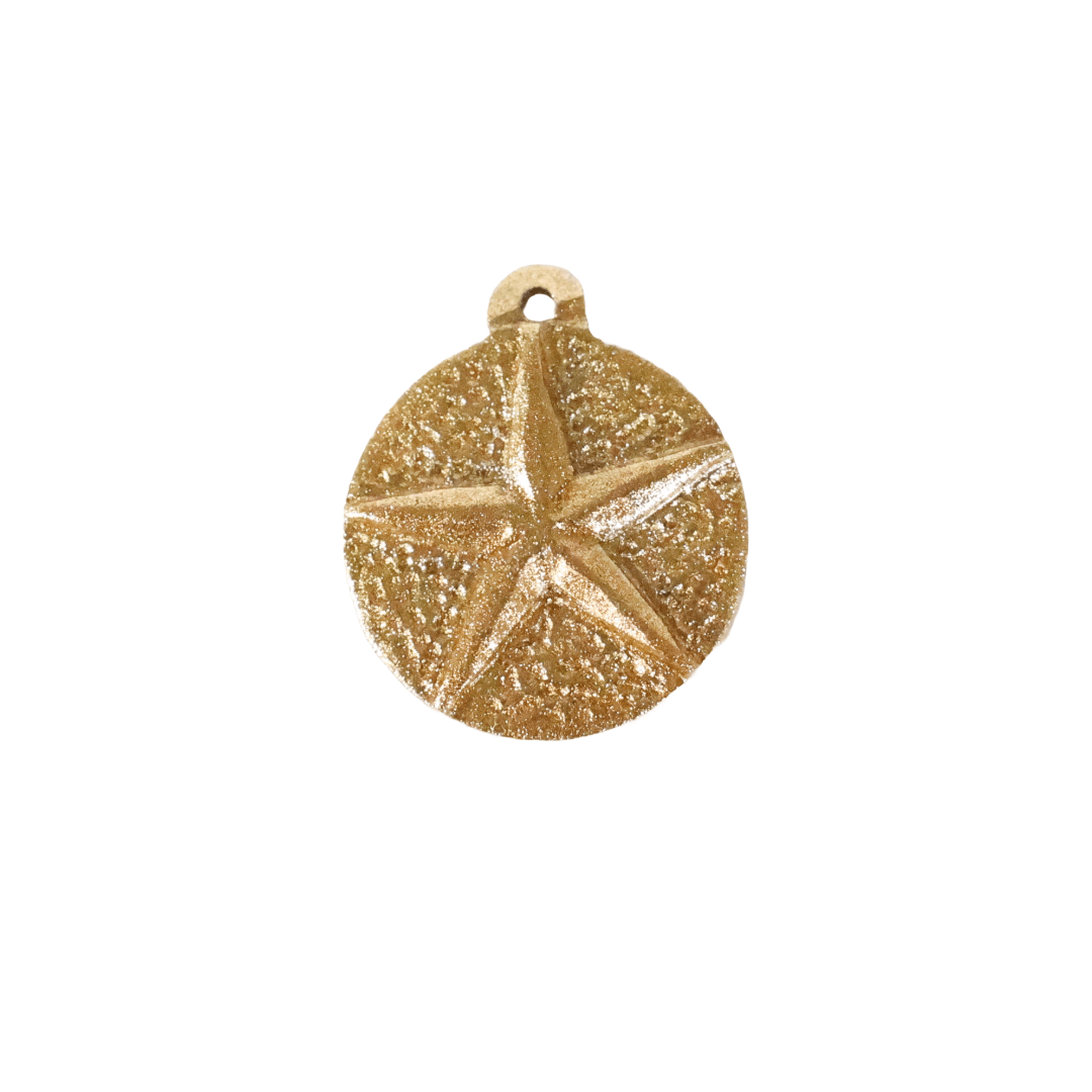 Sand Dollar Charm